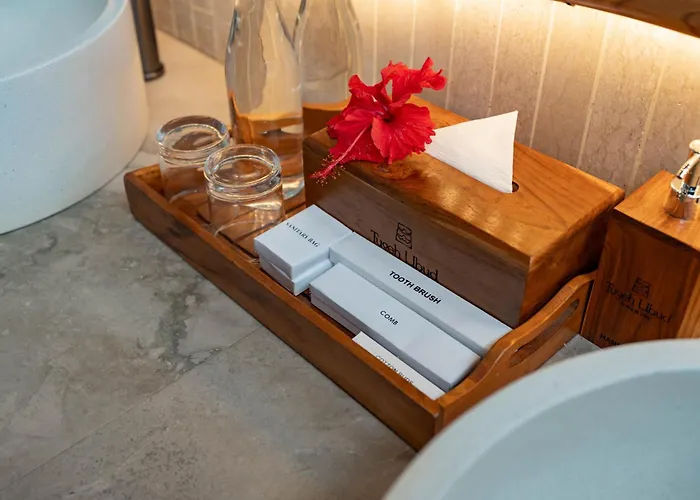 Tugeh Antique Alojamento de Acomodação e Pequeno-almoço Ubud